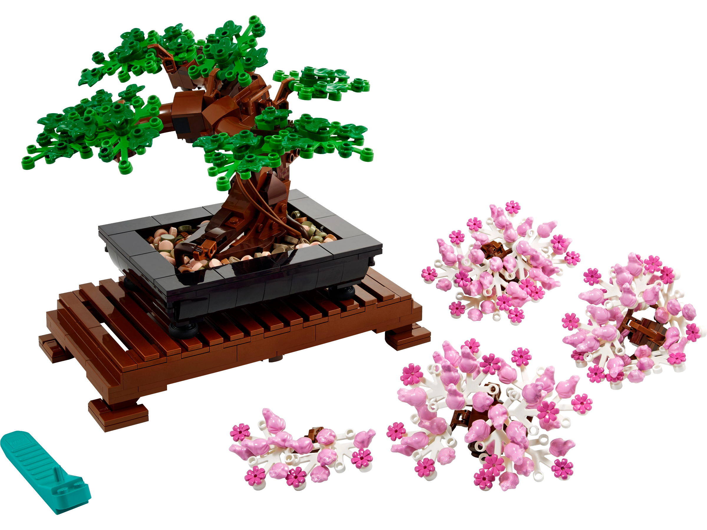 Bonsai Tree