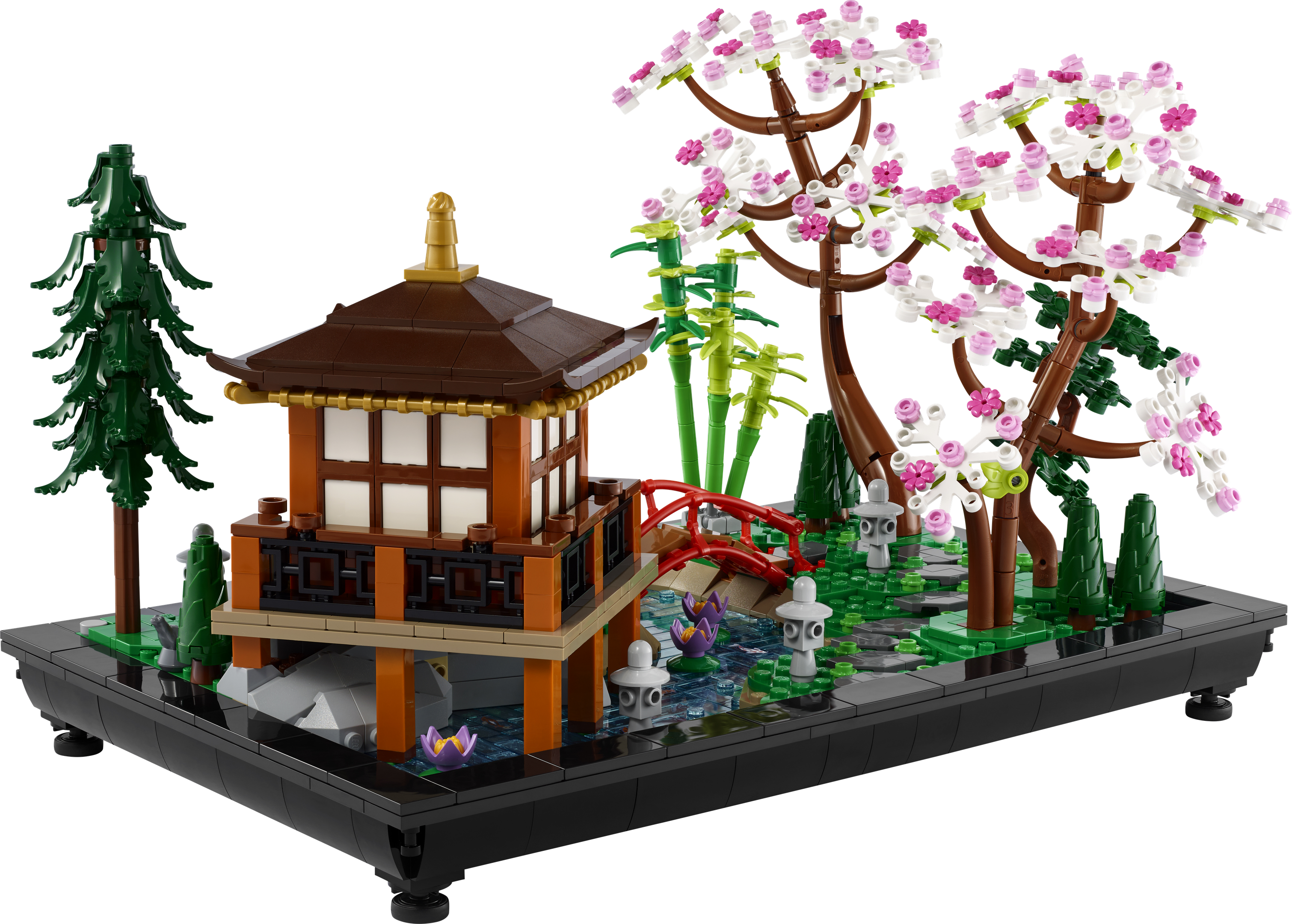Tranquil Garden