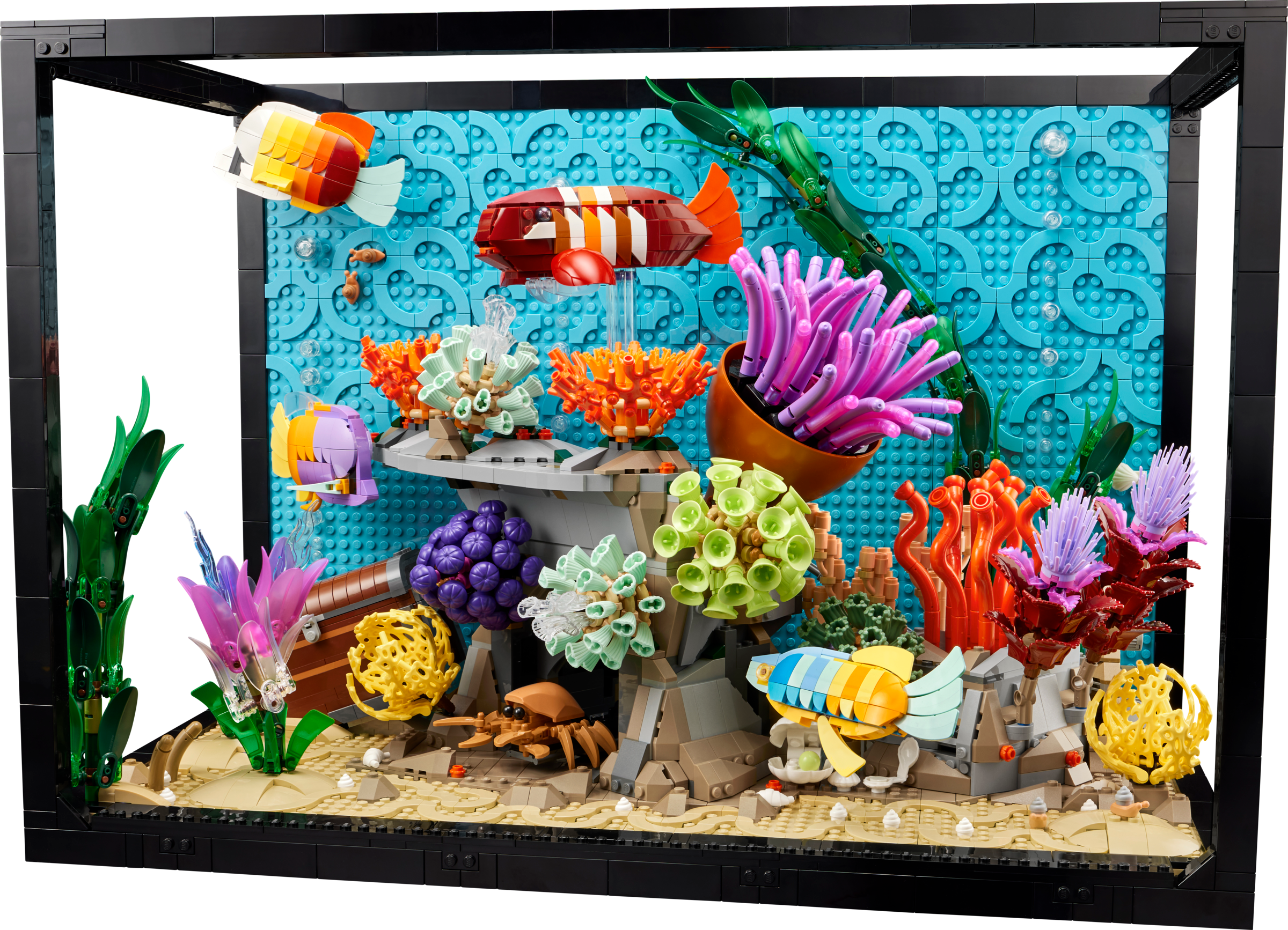 Tropical Aquarium