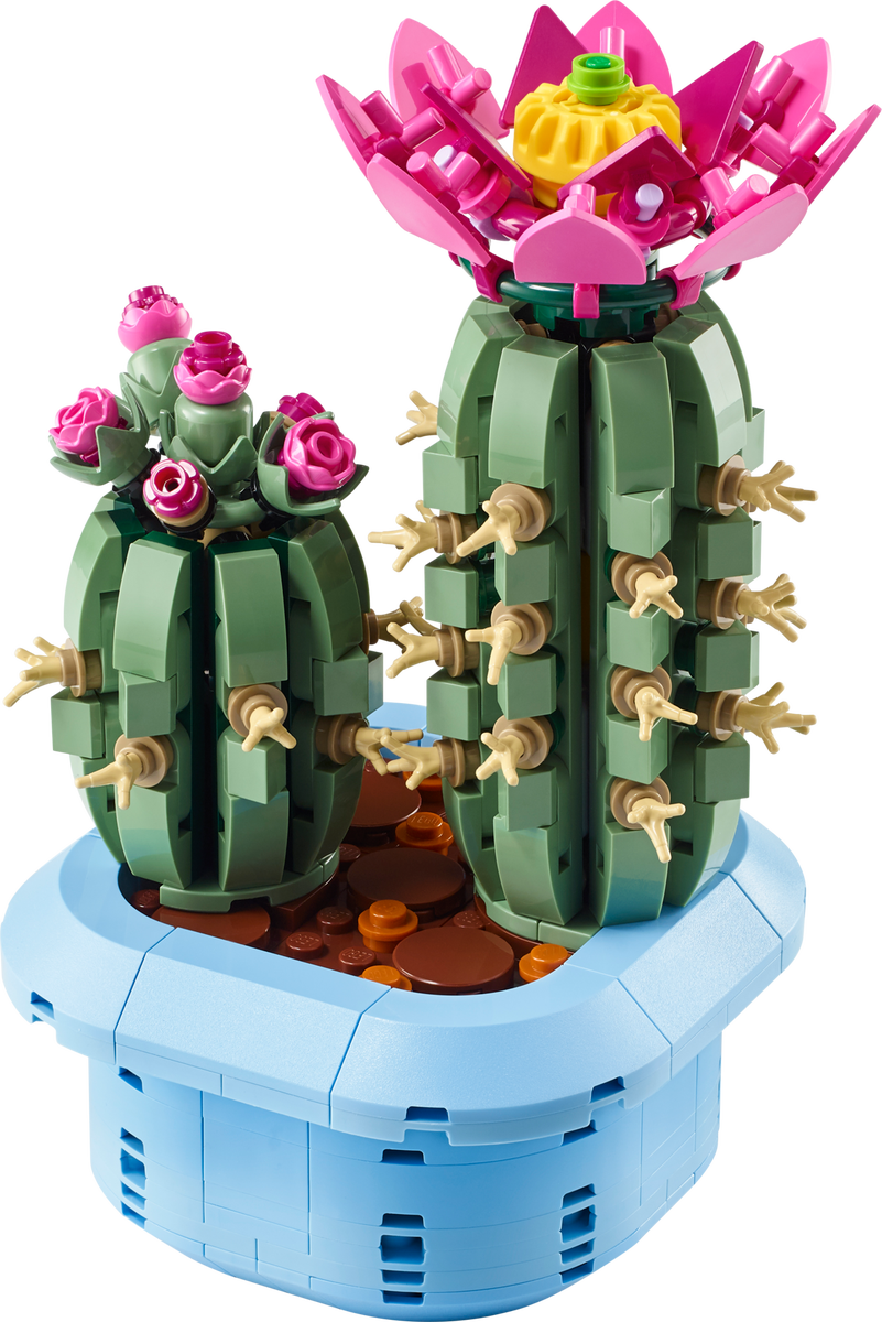 Flowering Cactus
