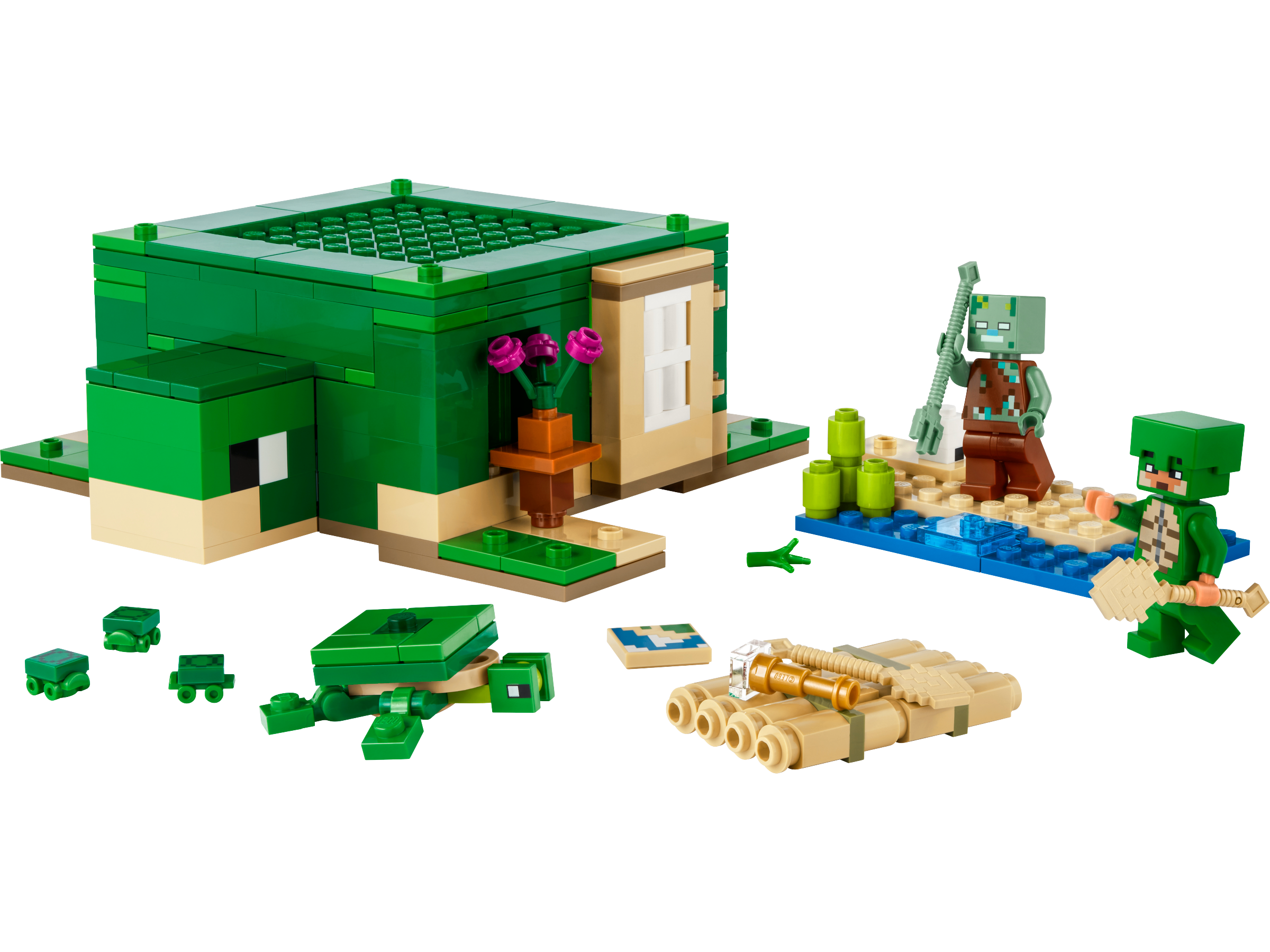 The Turtle Beach House