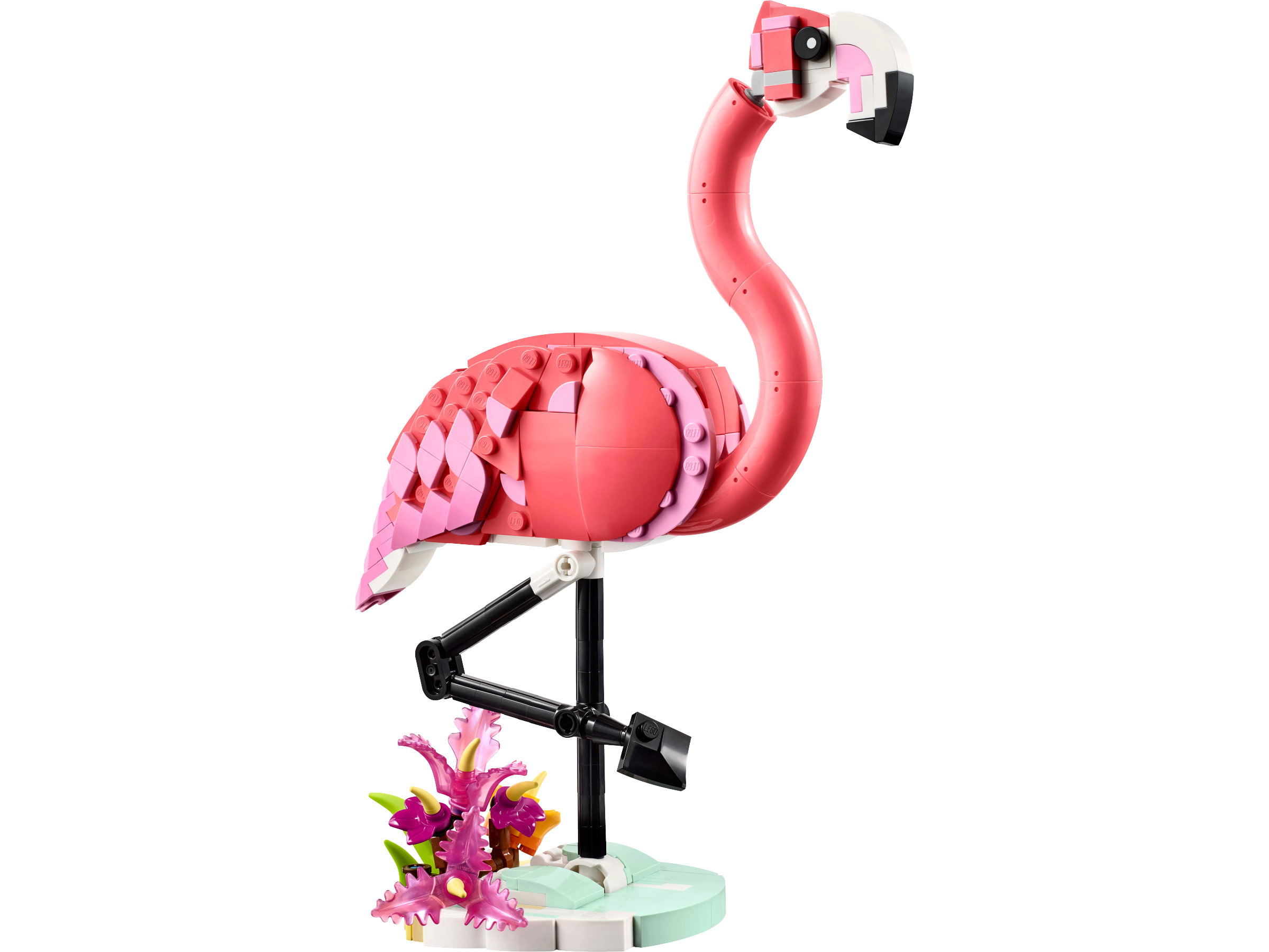 Wild Animals: Pink Flamingo