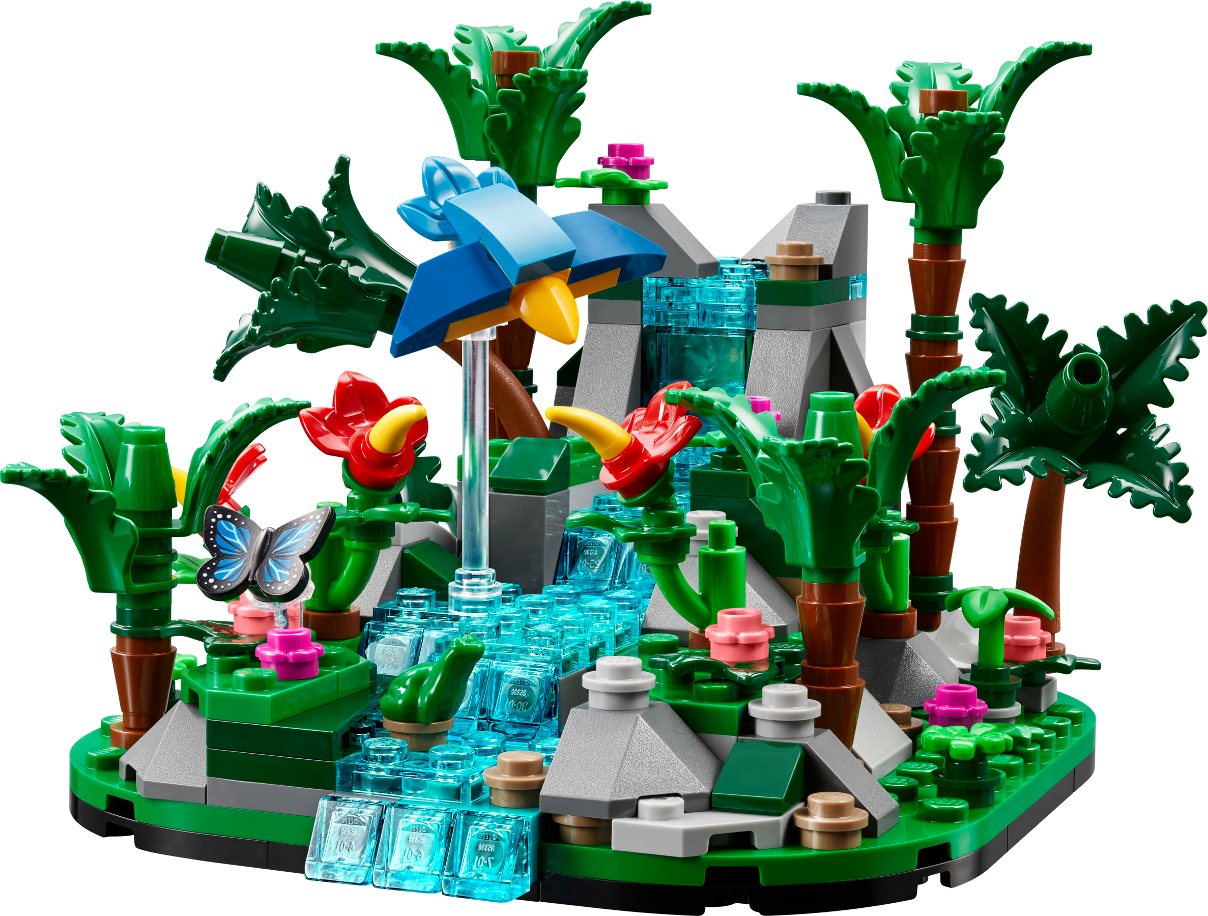 Tropical Rainforest Diorama