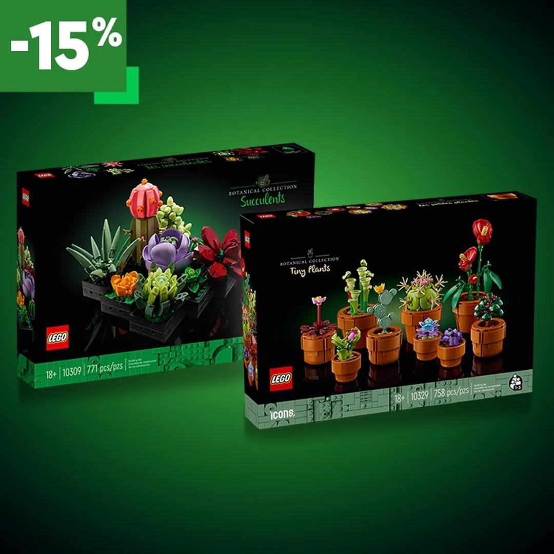 Succulent Collection Bundle