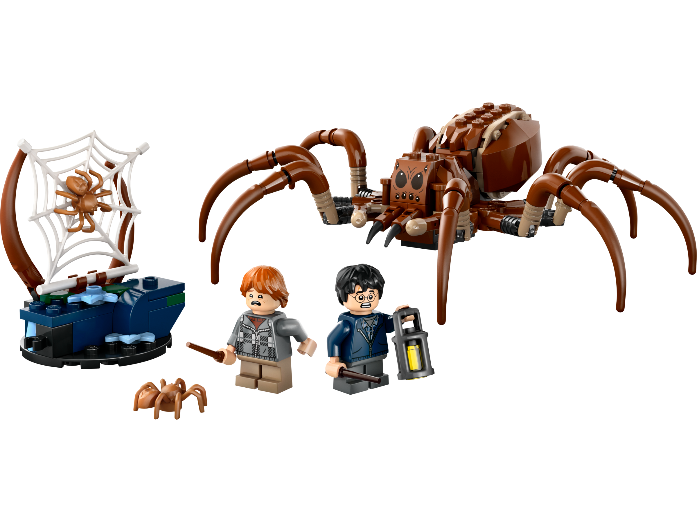 Aragog in the Forbidden Forest