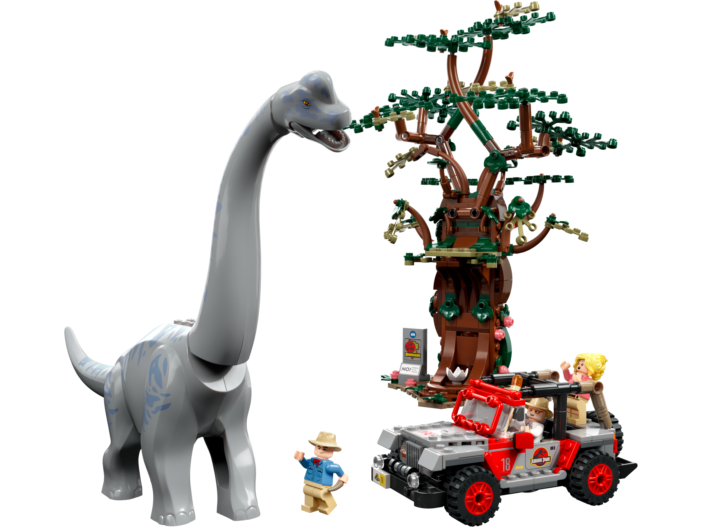 Brachiosaurus Discovery