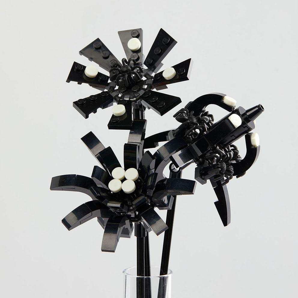 Black Spiders Flower Pack